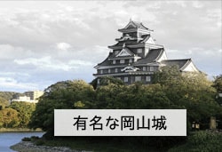 岡山城の画像