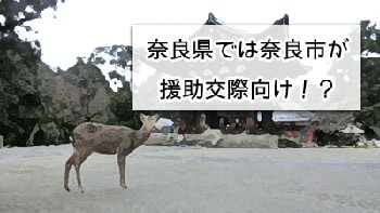 奈良県の奈良市で援交の画像