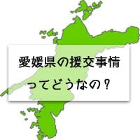 愛媛県の地図の画像