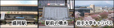 盛岡駅と周辺地域の画像